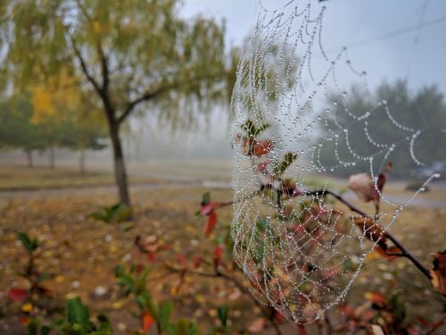 Приметы осени