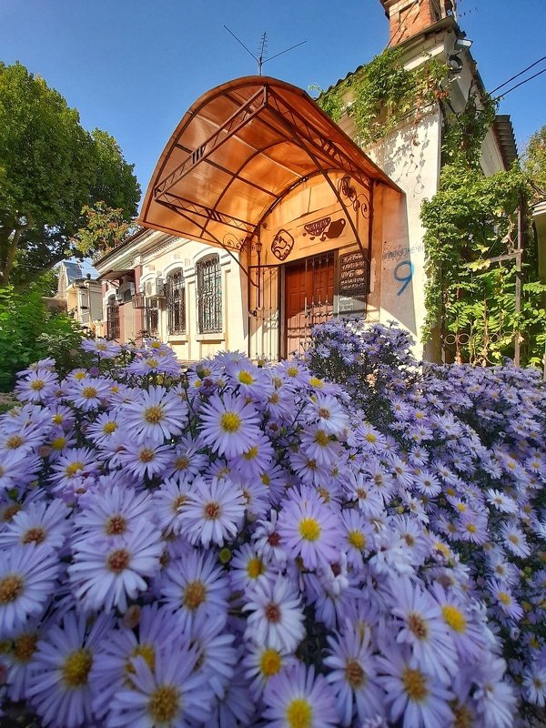 Бабье лето фото превью