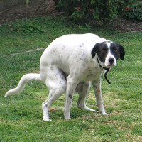 Портрет фотографа (аватар) Андрей Любимов (Andrew Lubimov)