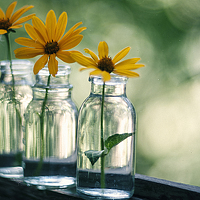 saleru - фотограф