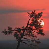 Юрий Дёмин - фотограф