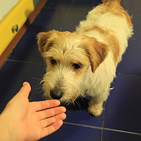 Портрет фотографа (аватар) апрпар (апрар)