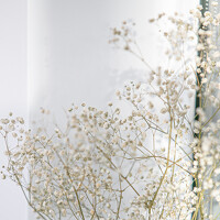 Портрет фотографа (аватар) Nankova Elena (E. Nankova)