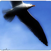 Портрет фотографа (аватар) Skykeeper