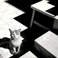 Портрет фотографа (аватар) Raisa_Anush