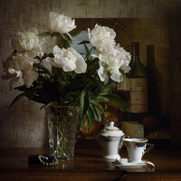 Портрет фотографа (аватар) Татьяна Бело (Tanna Belo)