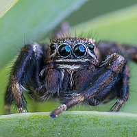 Кузнецов Дмитрий - фотограф