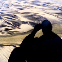 Портрет фотографа (аватар) Rajesh Tandon