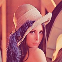 Портрет фотографа (аватар) dubhe liu (mark)