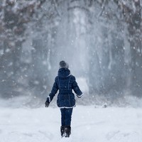 Портрет фотографа (аватар) Leyla Fedina