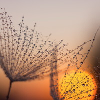 Портрет фотографа (аватар) Маргарита Сидорук (Margarita Sidoruk)