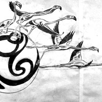 Портрет фотографа (аватар) luis antonio cruz perez (Luis Antonio Cruz Perez)