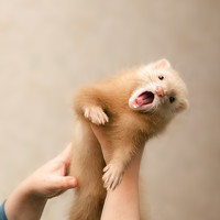 Портрет фотографа (аватар) Татьяна Кочергина (Tatiana Kochergina)