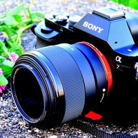 Портрет фотографа (аватар) Emil Balko (T&E Balko Photography)