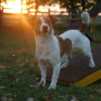 Портрет фотографа (аватар) Аня Мережко (Ann merezhko)