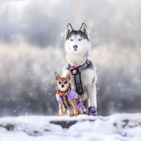 Портрет фотографа (аватар) Мария Климова (Maria Klimova)