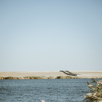 Портрет фотографа (аватар) Фахри Багиров (Fakhri Baghirov)