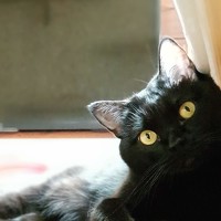 Портрет фотографа (аватар) Катерина
