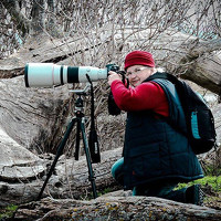 Портрет фотографа (аватар) Traude Beren