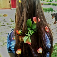 Портрет фотографа (аватар) Дарья Прокопенко (Daria Prokopenko)