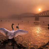 Портрет фотографа (аватар) peter cech (čech)