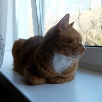 Фотография Светлана Титова (Titova Svetlana) Портрет фотографа (аватар) Светлана Титова (Titova Svetlana)