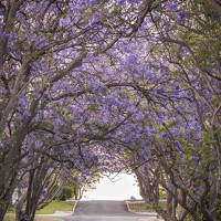Портрет фотографа (аватар) Stanley Aryanto (Stanley)