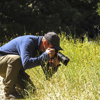 Портрет фотографа (аватар) Erhan Balamur