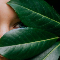 Портрет фотографа (аватар) Татьяна Ахметова (Tatiana Akhmetova)