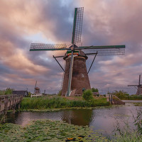 Портрет фотографа (аватар) Asim Al-Jaberi