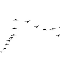 Портрет фотографа (аватар) Jose muñoz (TitoMuñoz)