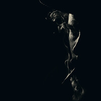 Портрет фотографа (аватар) Pedro (Pedro Andrés Guerrero Campos)