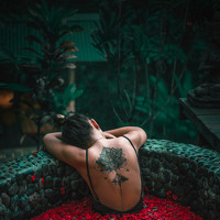 Портрет фотографа (аватар) Anastasiia Safonova