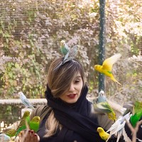 Портрет фотографа (аватар) nasimi mahnam.nasimi (mahnam.nasimi)