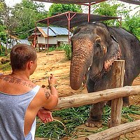 Портрет фотографа (аватар) Дондик Валерий (Valery Dondik)