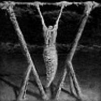 Портрет фотографа (аватар) Michal Dabrowski