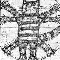 Портрет фотографа (аватар) Canoneer5