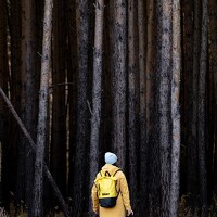 Портрет фотографа (аватар) Kati Volodina