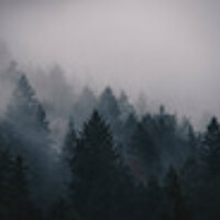 Портрет фотографа (аватар) Sergio A.D. (undefined)