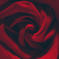 Фотография Дамир Сулейманов Портрет фотографа (аватар) Дамир Сулейманов