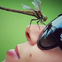 Портрет фотографа (аватар) Josipa Sabol