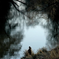 Портрет фотографа (аватар) Rideg Ferenc