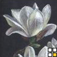 Портрет фотографа (аватар) Mikołaj (Martyna)