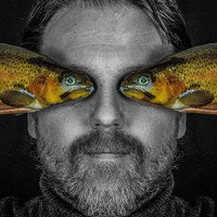 Портрет фотографа (аватар) Michael Mettier