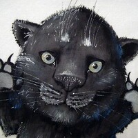 Портрет фотографа (аватар) Михаил Набоков (Mikhail)