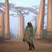 Портрет фотографа (аватар) hasan zakynthos