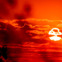 Портрет фотографа (аватар) Olladikpo Addemas_pic_pro (Olladikpo Elisée Isidore Yêhoun)