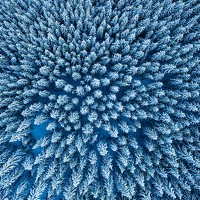 Портрет фотографа (аватар) marian badaluta