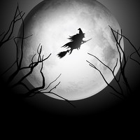 Портрет фотографа (аватар) bubi