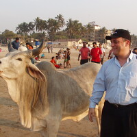 Портрет фотографа (аватар) Levan A